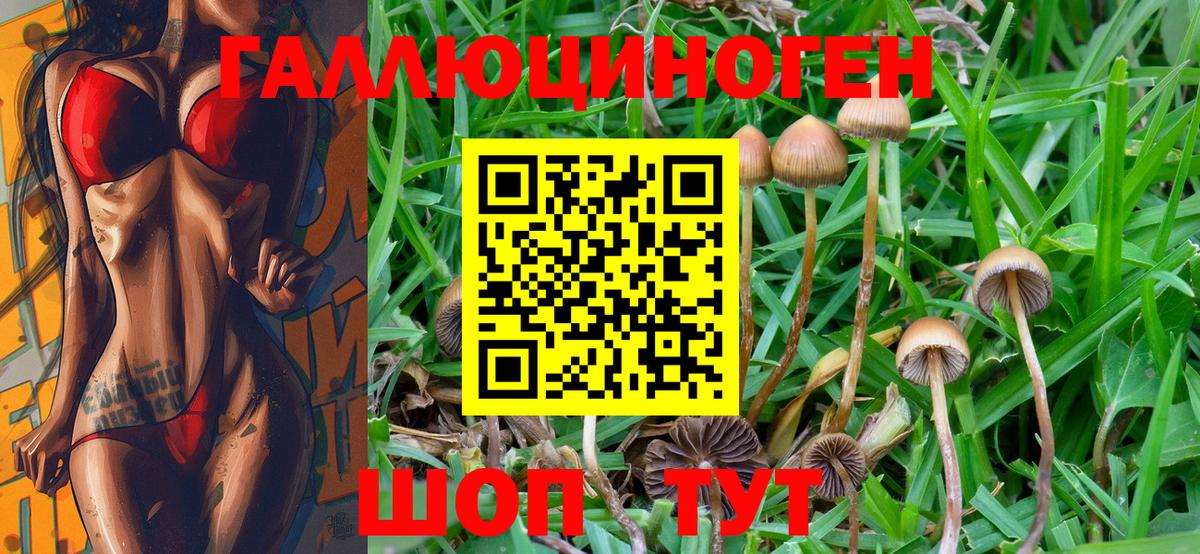 Среднеуральск  Галлюциногенные грибы Psilocybe  Псилоцибиновые грибы Magic Shrooms  Вход с VPN 