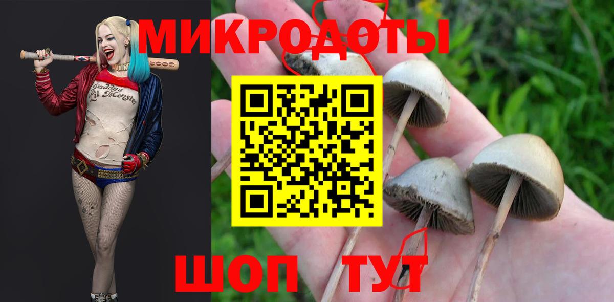 Псилоцибиновые грибы GOLDEN TEACHER Среднеуральск